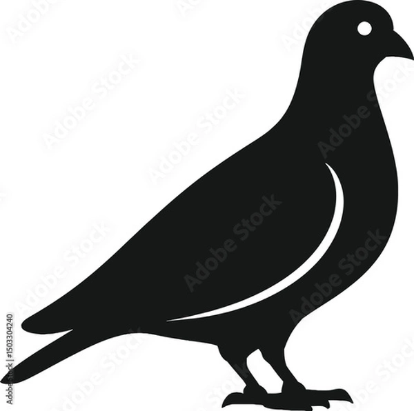 Obraz pigeon silhouette vector