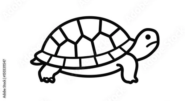Obraz turtle