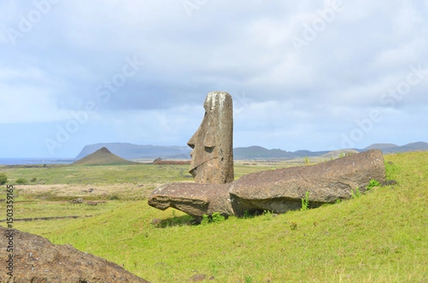 Fototapeta Moai statues abandoned on the slopes of the Rano Raraku volcano on Easter Island