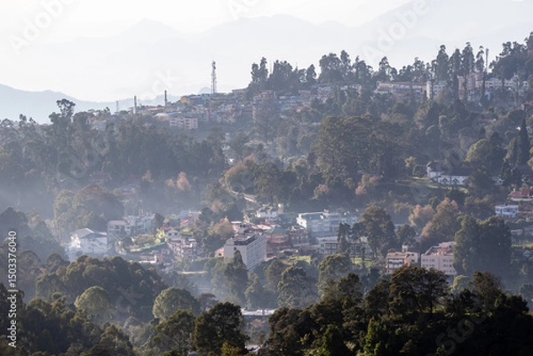 Obraz View of Kodaikanal showcases a blend of vibrant greenery and quaint buildings nestled among hills.