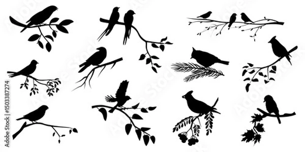 Fototapeta Nature landscape with birds silhouettes. Birds on branches set. Vector illustration	
