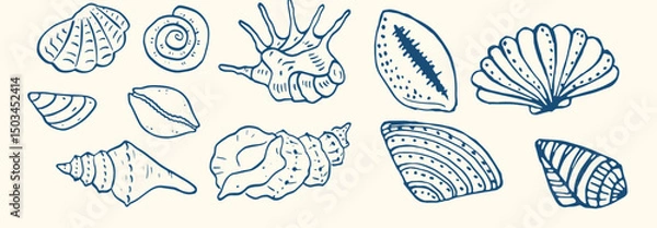 Fototapeta Set of hand drawn seashells drawing ink. Minimalist line art. Summer vacation design elements for trendy prints, label, menu cover. Tropical beach shells. Vector flat illustration.