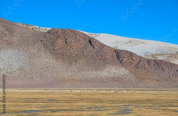 Obraz Arid High Mountains Plains in the Andes