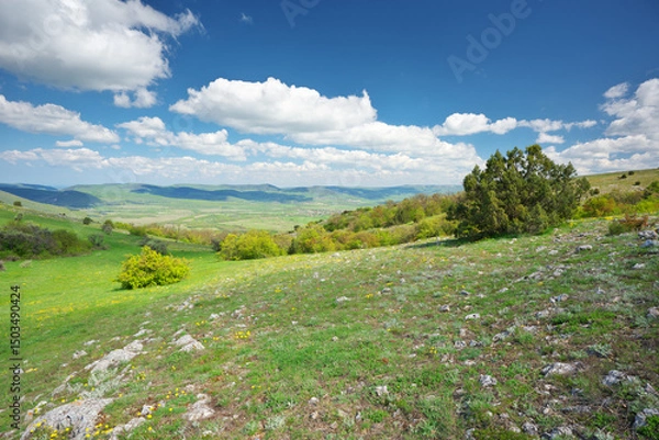 Obraz Mountain meadow and valley at day.
