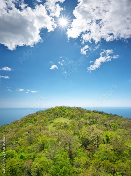 Obraz View on the the top of Island. High angle view of trees by sea against sky.