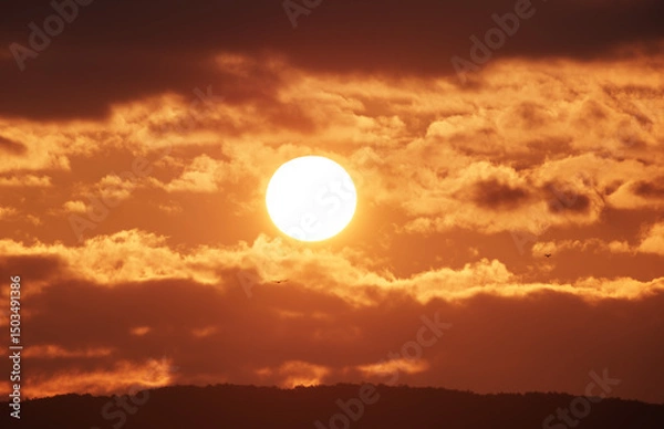 Obraz Big Sun close-up on sunset.