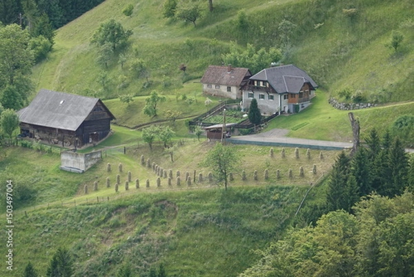 Obraz Haystacks . Heuhiefl . Heuschober . Heumännchen