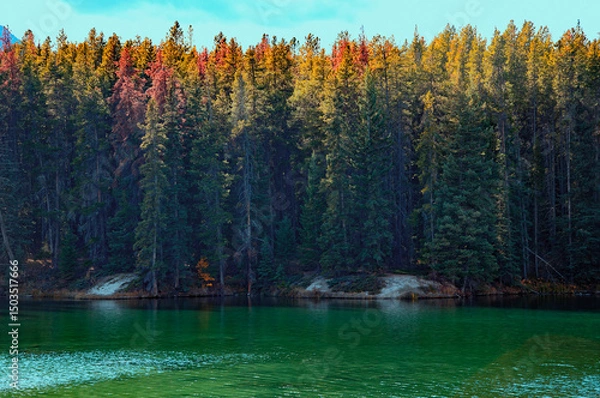 Obraz Canada. Johnson Lake. Lake in the rocky mountains.