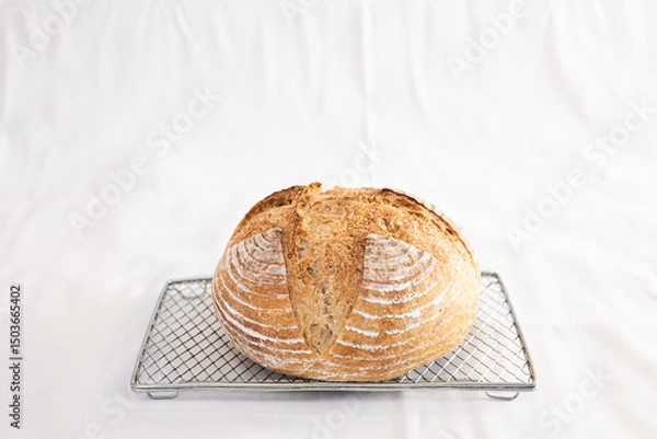 Obraz カンパーニュ