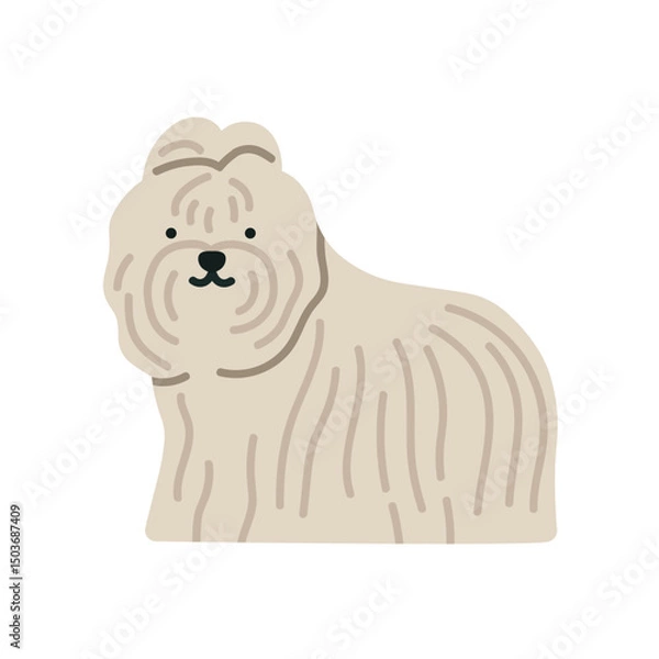 Fototapeta Cute illustration of Bichon dog standing. Can be used for pet-related marketing materials, educational content about breeds, prints, cards etc. Vector illustration isolated on white background. 