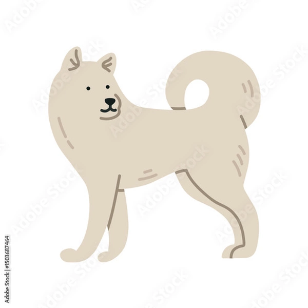 Fototapeta Illustration of Samoyed dog standing. It can be used for pet-related marketing materials, educational content about breeds, prints, cards etc. Vector illustration isolated on white background.