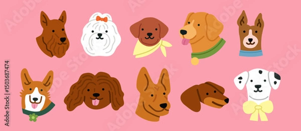 Fototapeta Vector illustrations set with cute dog's heads. Dalmatian, Basenji, Shepherd dogs, Golden Retriever, Corgi, Bichon etc. For pet-related marketing materials, content about breeds, prints, cards. 