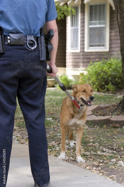 Obraz going to the pound