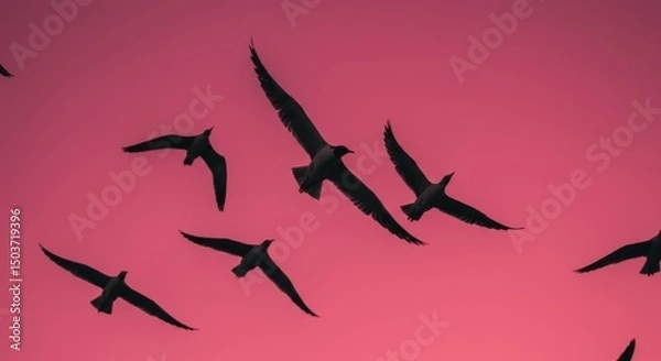 Fototapeta A breathtaking view of a flock of birds soaring against a vibrant magenta sky