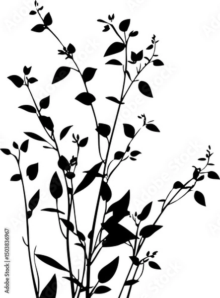 Fototapeta Small leaf plant silhouette pattern wallpaper. Black and white. minimal artwork. simple template. tattoo design. card and package. PNG tranparent.