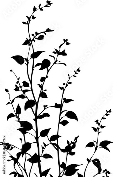 Fototapeta Small leaf plant silhouette pattern wallpaper. Black and white. minimal artwork. simple template. tattoo design. card and package. PNG tranparent.