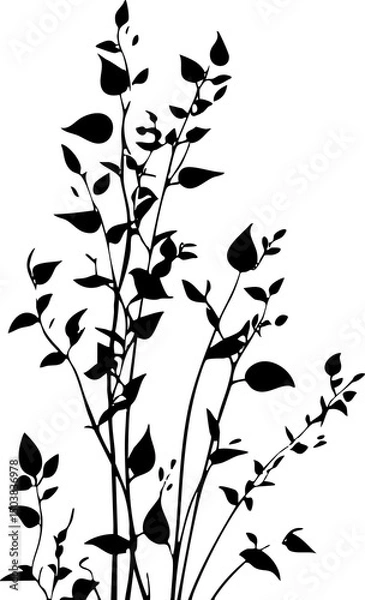 Fototapeta Small leaf plant silhouette pattern wallpaper. Black and white. minimal artwork. simple template. tattoo design. card and package. PNG tranparent.
