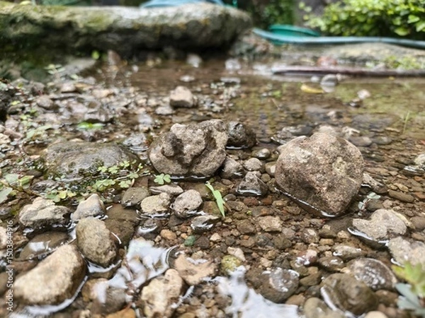 Obraz Rock and wather