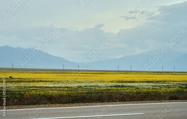 Obraz Flower fields beneath clouds, landscape