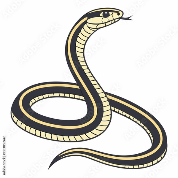 Obraz Striped racer snake, slender and swift, bearing a band of yellow stripes on its dark, thin body