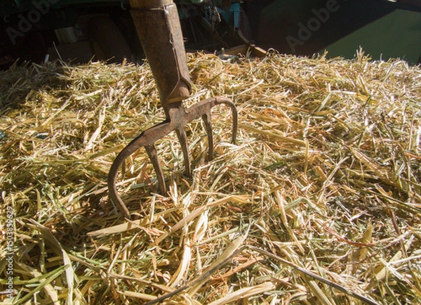Obraz A pitchfork stuck in a bale of straw