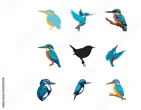 Obraz bird vector image 6