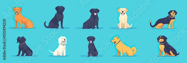 Obraz Set of twelve flat minimalist vector illustrations of diverse dog breeds sitting and standing in various poses on blue background including labrador, poodle, rottweiler, golden retriever and shiba inu