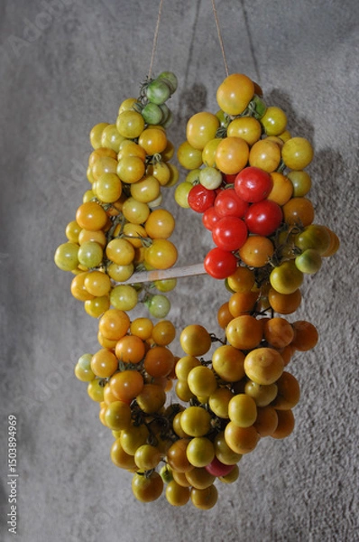 Obraz cherry tomato grape