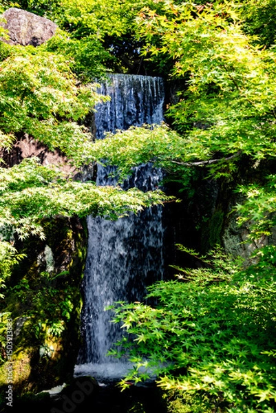 Obraz waterfall in the forest