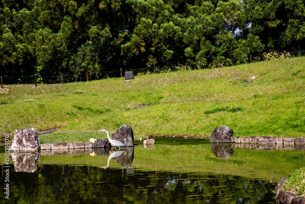 Obraz Scenery in the forest in summer