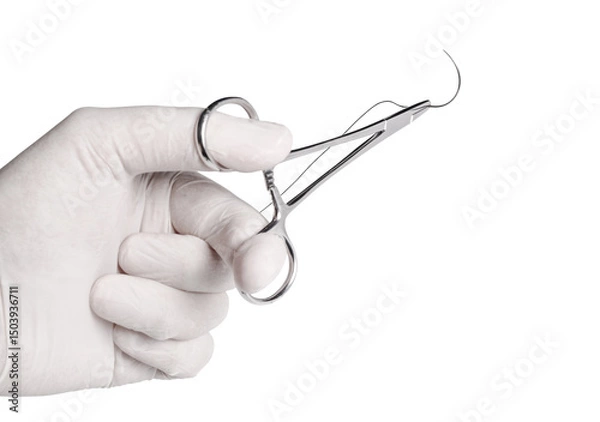 Fototapeta  An operator hand holding a surgical needle threaded with non-absorbable suture. Sharp point and fine thread against a white background.