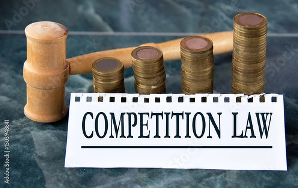 Fototapeta EXPERT WITNESS - words on a white sheet with a judge's gavel and a stack of coins in the background