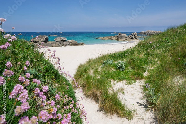 Obraz La mer transparente