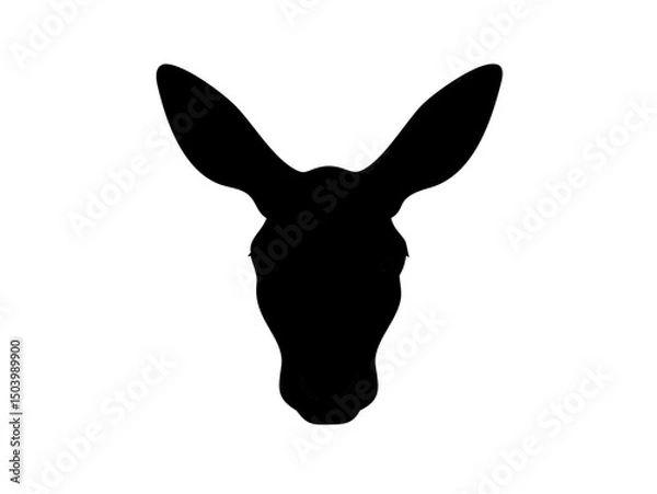 Fototapeta Close Up Of A Red Kangaroo S Head And Upper Body