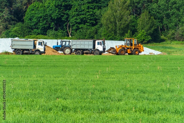 Fototapeta Loading grain into trucks for transportation. Agricultural machinery in the field. Harvest time. Transportation of wheat.