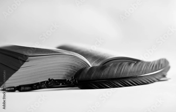 Obraz an old ink pen and an old book with a white background