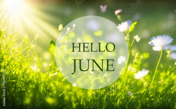 Obraz Hello June greeting card with text on a sunny summer meadow natural floral background. Summertime concept.
