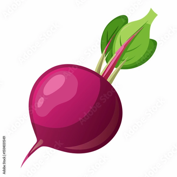 Fototapeta Realistic full-body image of a fresh beet on a white background, ideal for food, nutrition, or botanical design projects.