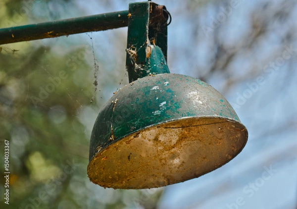 Obraz Green lamp on a tree