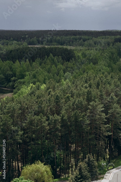 Obraz Aerial view of dense green forest under stormy sky. Summer landscape near Minsk, Belarus. Dramatic weather, pine trees, nature, wilderness, and Eastern European scenery.