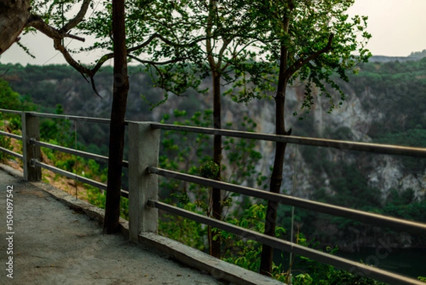 Obraz The natural background of the flora, various species of trees growing in the big forest, the richness of the ecosystem, is the habitat of flocks of birds and wild animals such as elephants, wolves