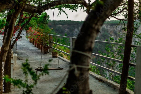 Obraz The natural background of the flora, various species of trees growing in the big forest, the richness of the ecosystem, is the habitat of flocks of birds and wild animals such as elephants, wolves