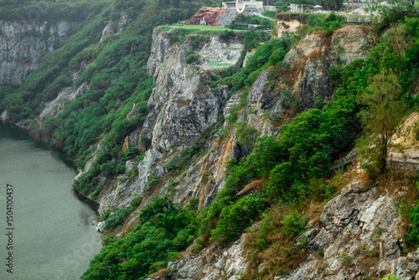 Obraz The natural background of the flora, various species of trees growing in the big forest, the richness of the ecosystem, is the habitat of flocks of birds and wild animals such as elephants, wolves