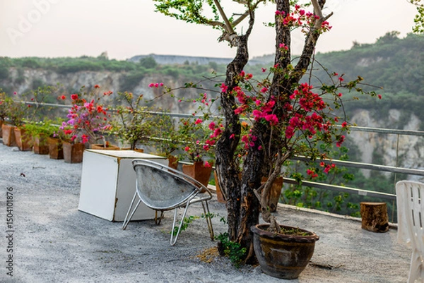 Obraz The natural background of the flora, various species of trees growing in the big forest, the richness of the ecosystem, is the habitat of flocks of birds and wild animals such as elephants, wolves