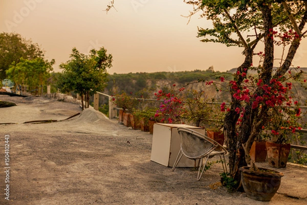 Obraz The natural background of the flora, various species of trees growing in the big forest, the richness of the ecosystem, is the habitat of flocks of birds and wild animals such as elephants, wolves