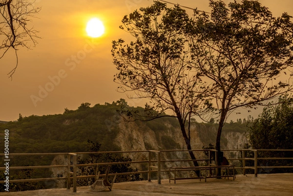 Obraz The natural background of the flora, various species of trees growing in the big forest, the richness of the ecosystem, is the habitat of flocks of birds and wild animals such as elephants, wolves