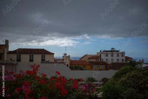 Fototapeta landscape from the park