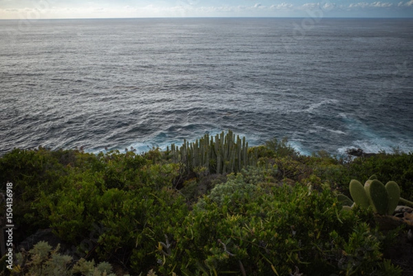 Obraz coast of the ocean