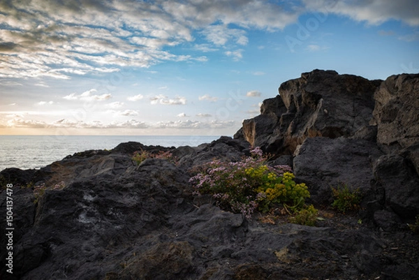 Fototapeta sunset on the coast