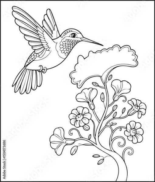Fototapeta Beautiful hummingbird with flower outline drawing artwork for kids coloring pages
